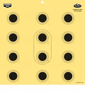 10-meter, 12-inch Air Rifle Target, new from Birchwood Casey