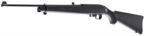 Ruger 10/22 Air Rifle