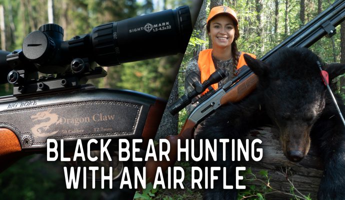 Black Bear Hunting with an Air Rifle